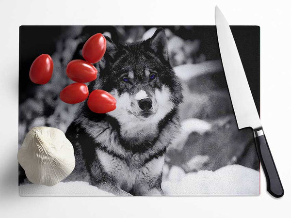 Wolf In Winter Glass Chopping Board