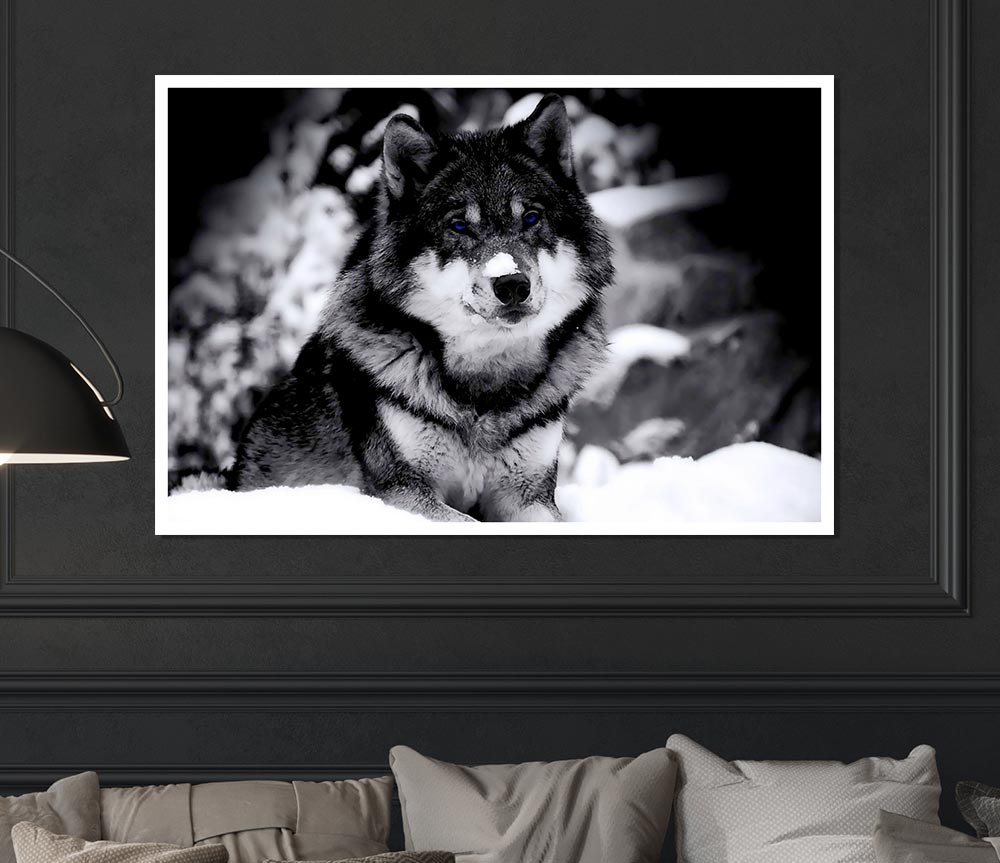 Wolf In Winter Print Poster Wall Art