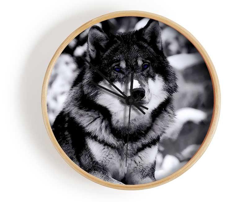 Wolf In Winter Clock - Wallart-Direct UK