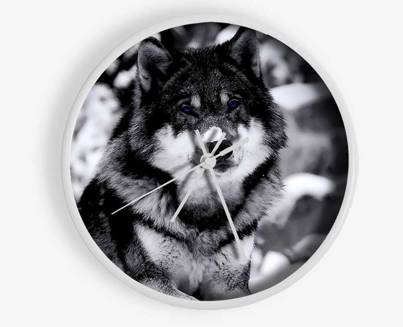 Wolf In Winter Clock - Wallart-Direct UK