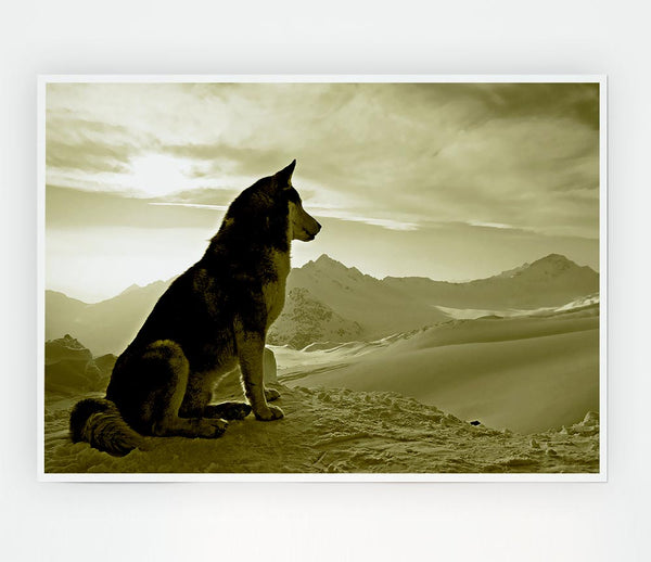 Wolf Mountain Print Poster Wall Art