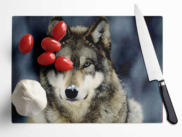 Wolf Snow Nose Glass Chopping Board