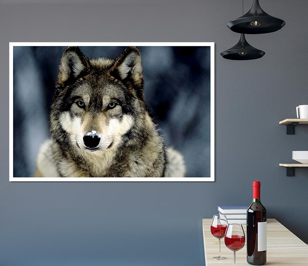 Wolf Snow Nose Print Poster Wall Art