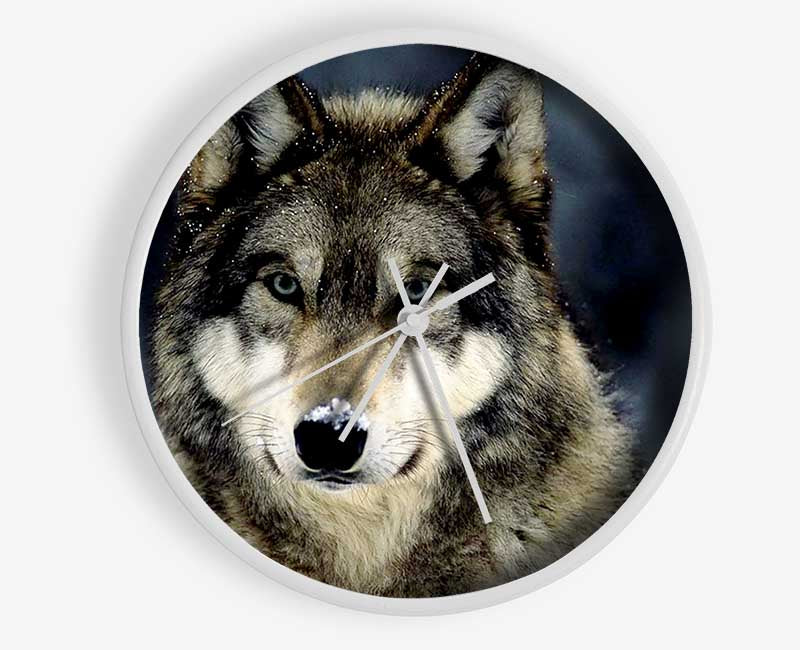 Wolf Snow Nose Clock - Wallart-Direct UK