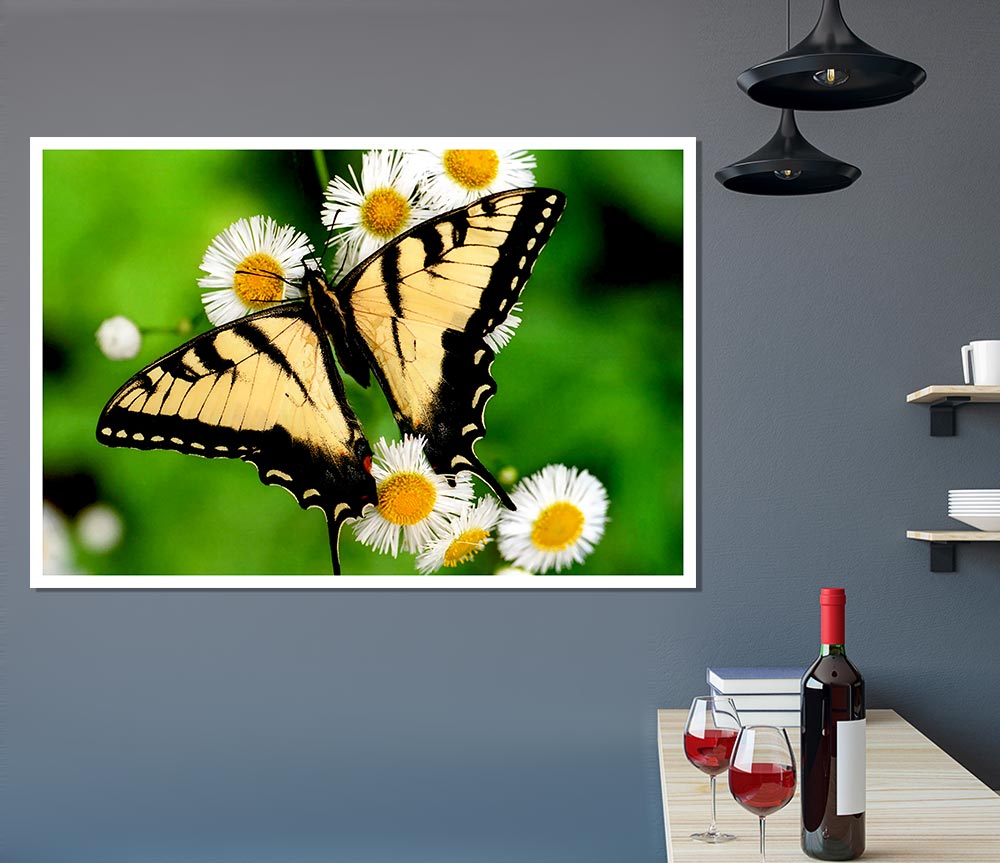 Yellow Butterfly Print Poster Wall Art