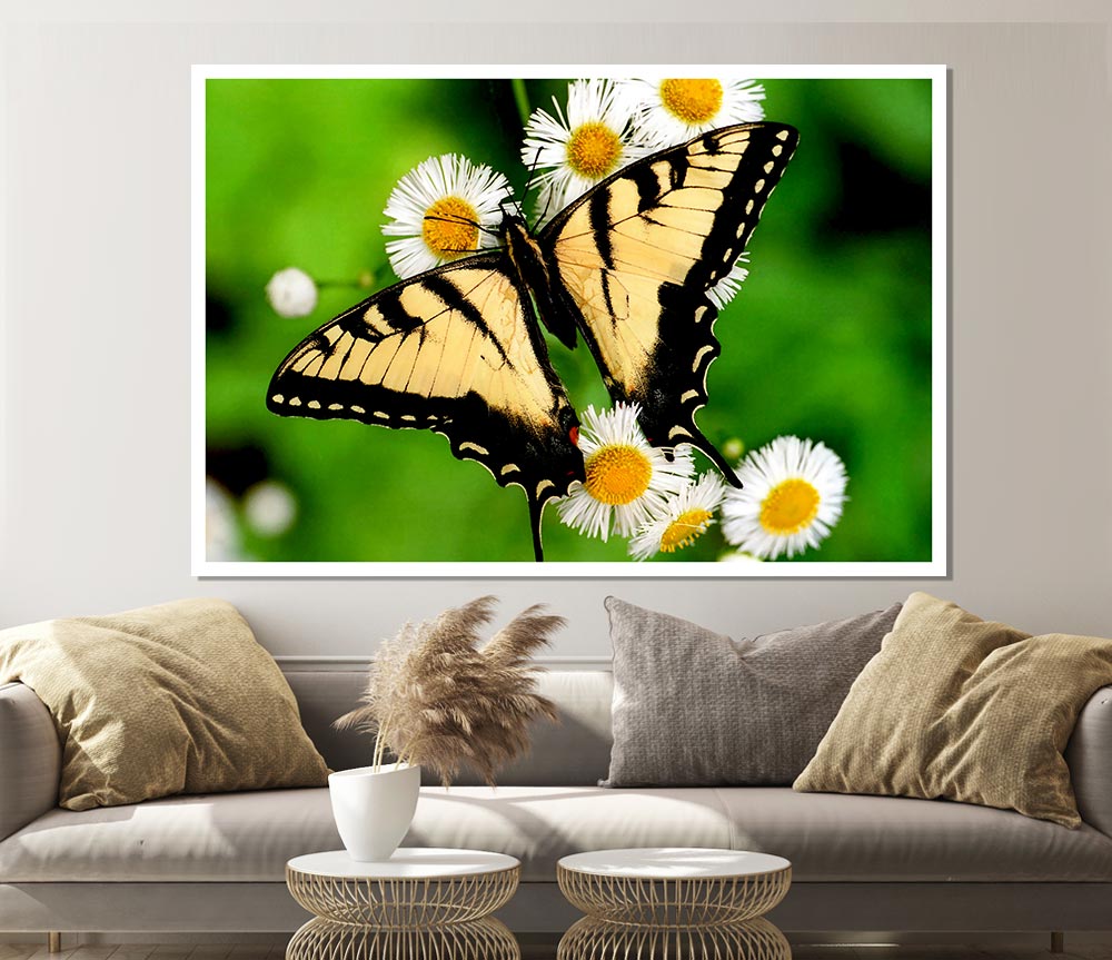 Yellow Butterfly Print Poster Wall Art