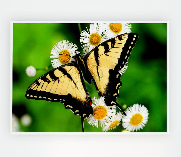 Yellow Butterfly Print Poster Wall Art