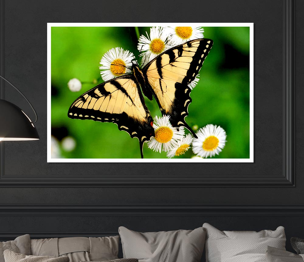 Yellow Butterfly Print Poster Wall Art