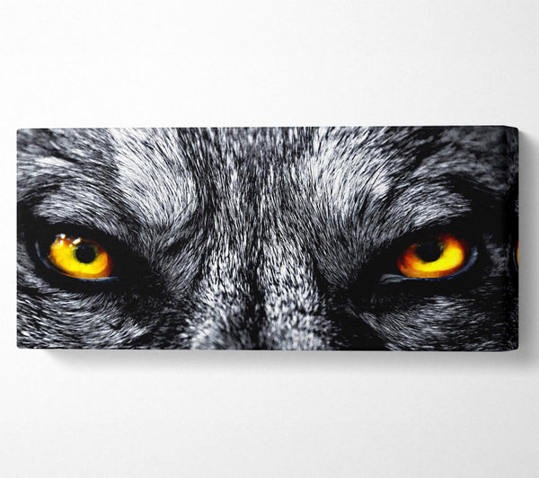 Yellow Wolf Eyes