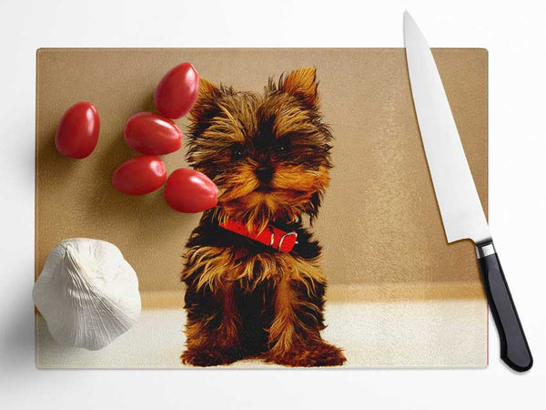 Yorkshire Terrier Puppy Glass Chopping Board