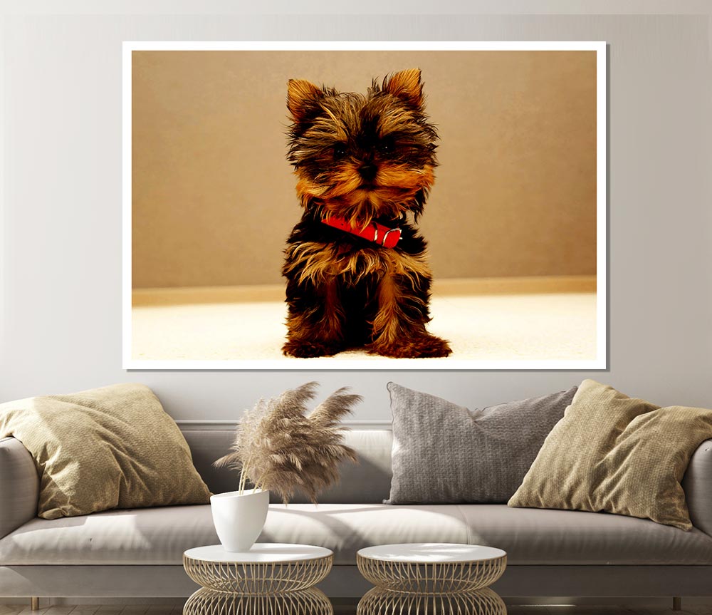 Yorkshire Terrier Puppy Print Poster Wall Art