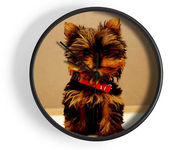 Yorkshire Terrier Puppy Clock - Wallart-Direct UK