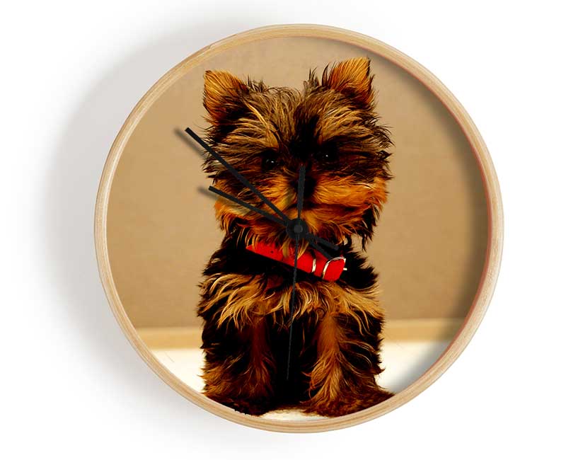 Yorkshire Terrier Puppy Clock - Wallart-Direct UK