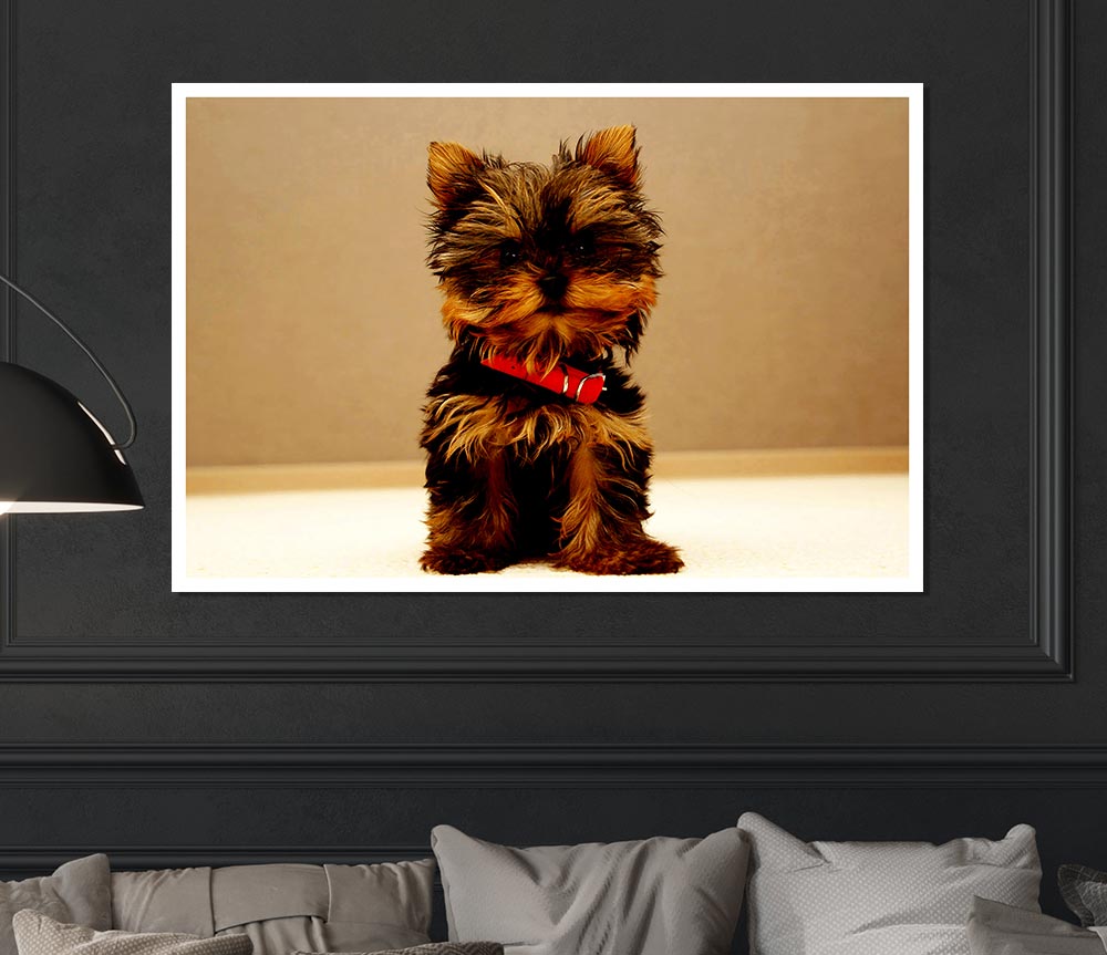 Yorkshire Terrier Puppy Print Poster Wall Art