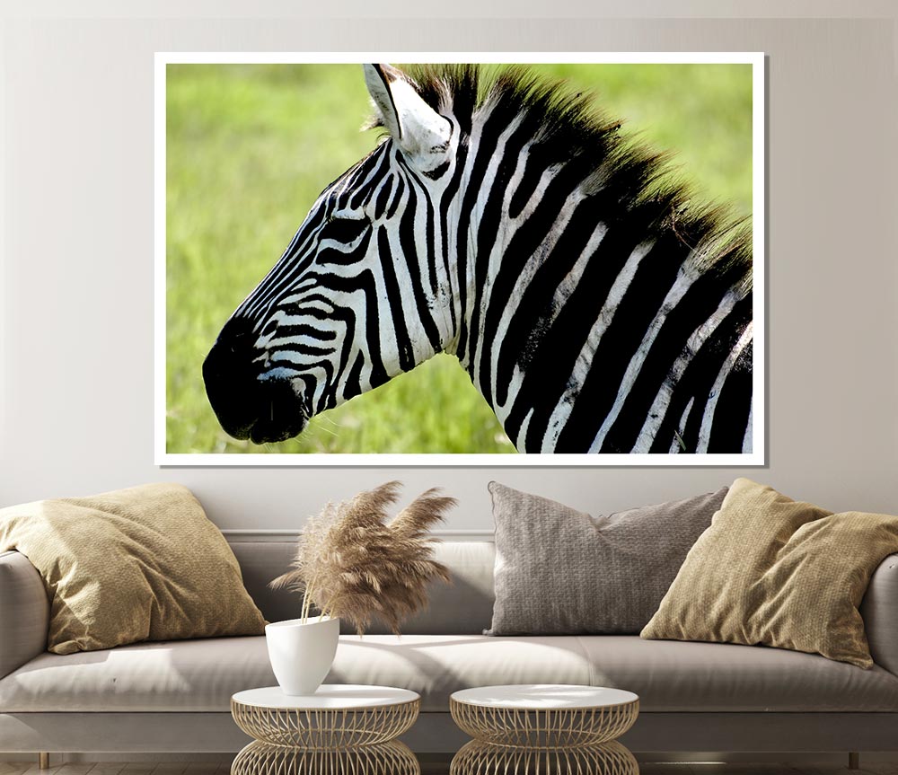 Zebra Face Side Print Poster Wall Art