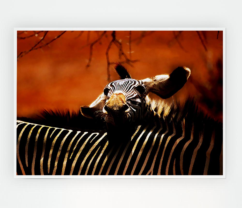 Zebra Family Love Print Poster Wall Art