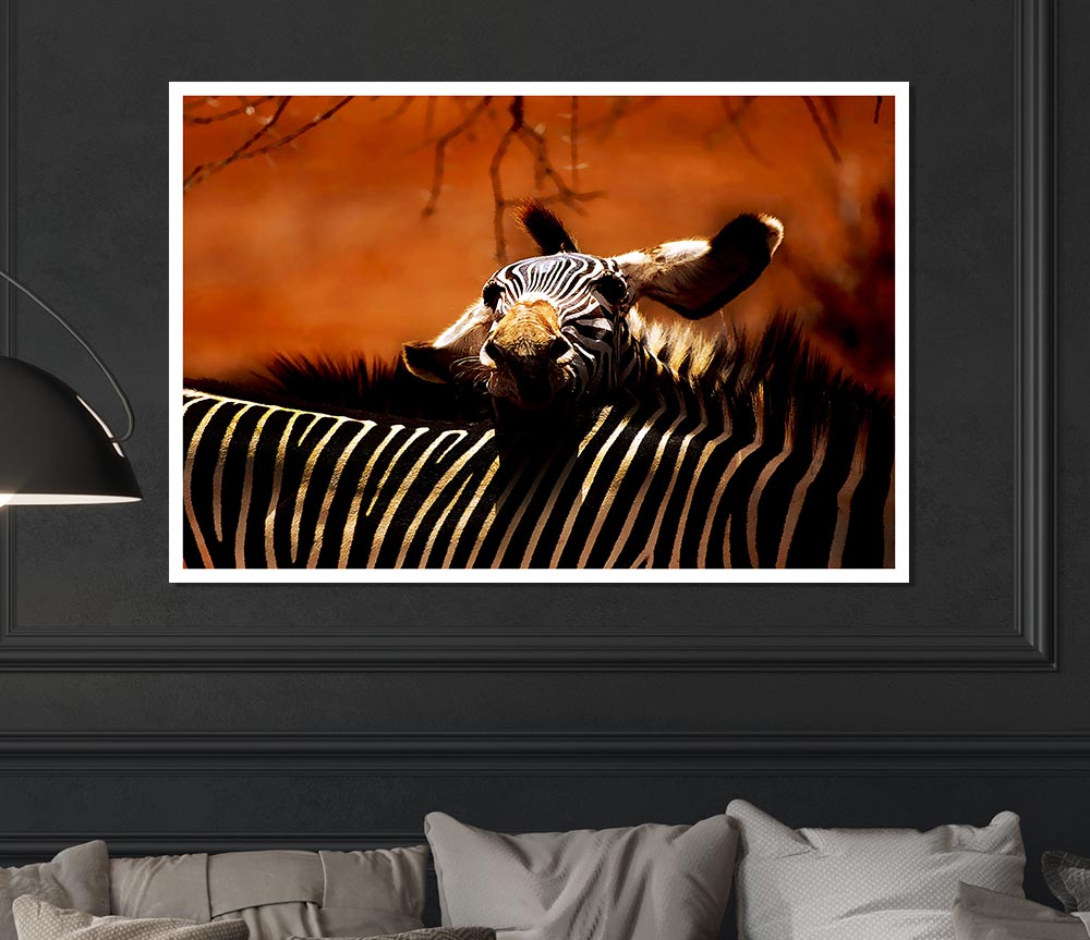 Zebra Family Love Print Poster Wall Art