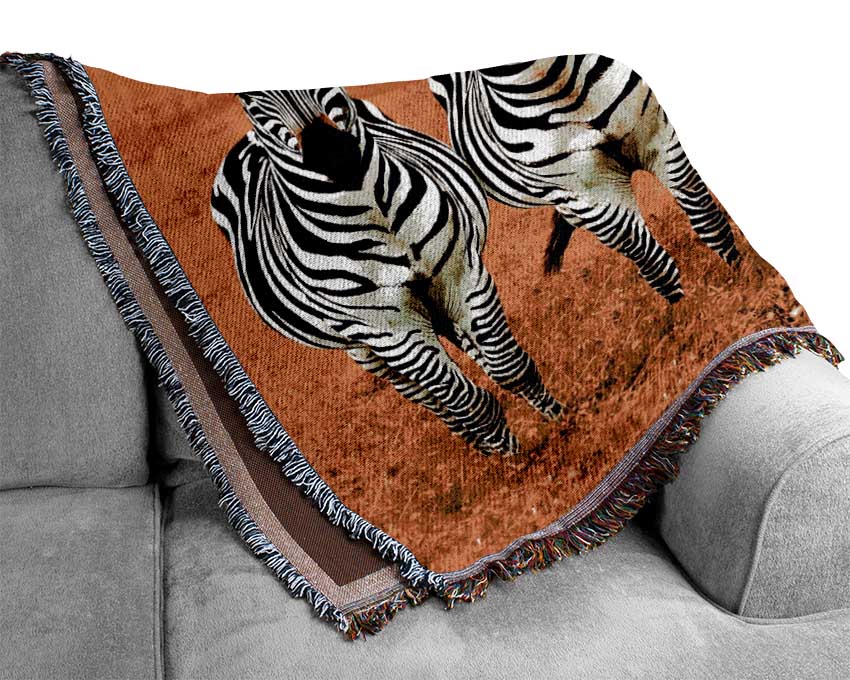 Zebra Line-Up Woven Blanket