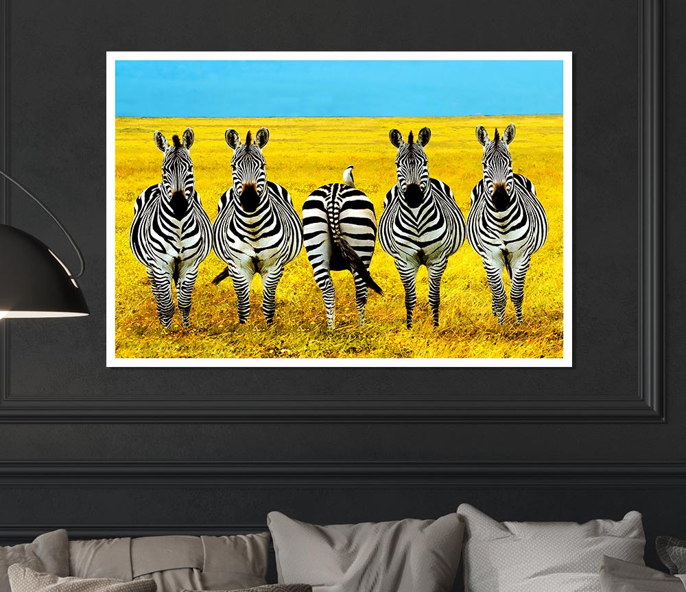 Zebra Line Up Print Poster Wall Art