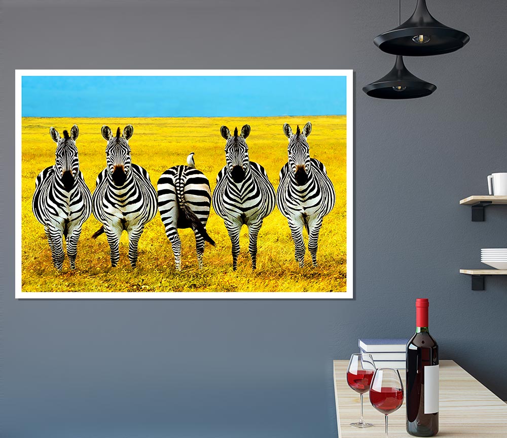 Zebra Line Up Print Poster Wall Art