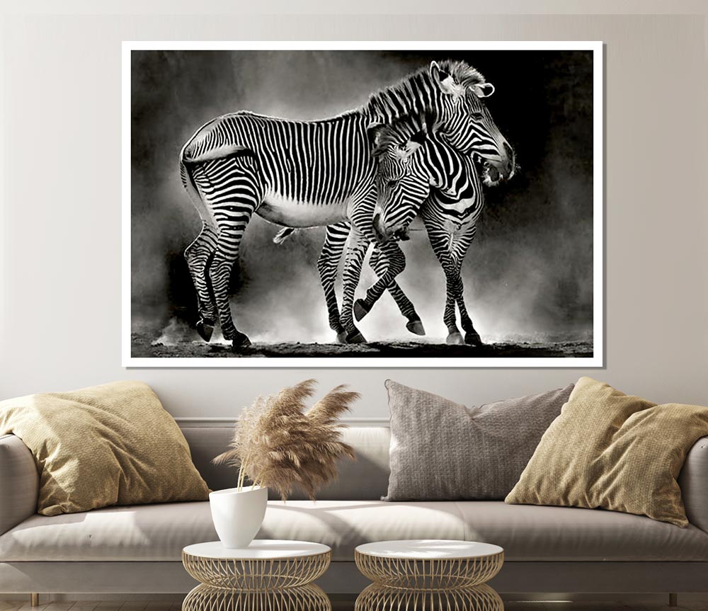 Zebra Love Print Poster Wall Art