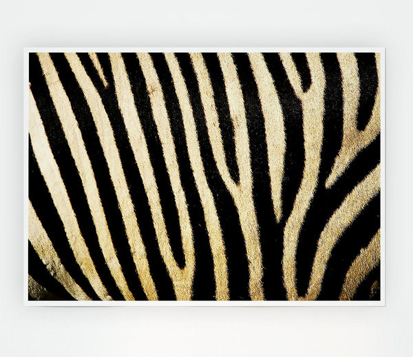 Zebra Pattern Print Poster Wall Art