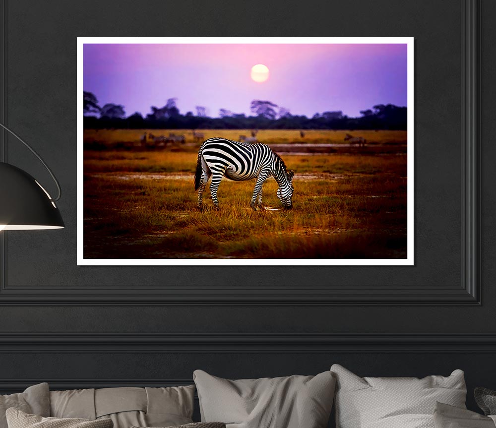 Zebra Sunset Print Poster Wall Art