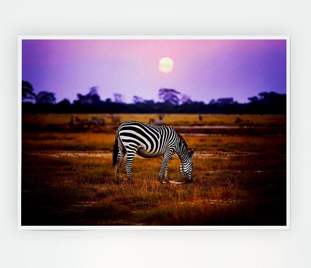 Zebra Sunset Print Poster Wall Art