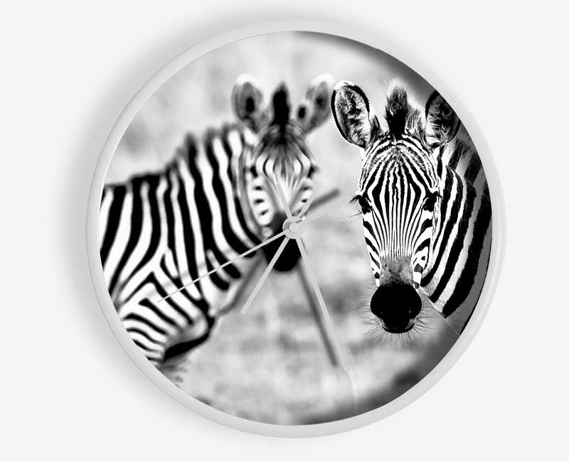 Zebra Twins Clock - Wallart-Direct UK