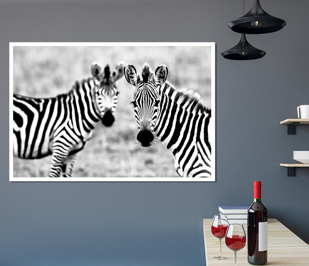 Zebra Twins Print Poster Wall Art