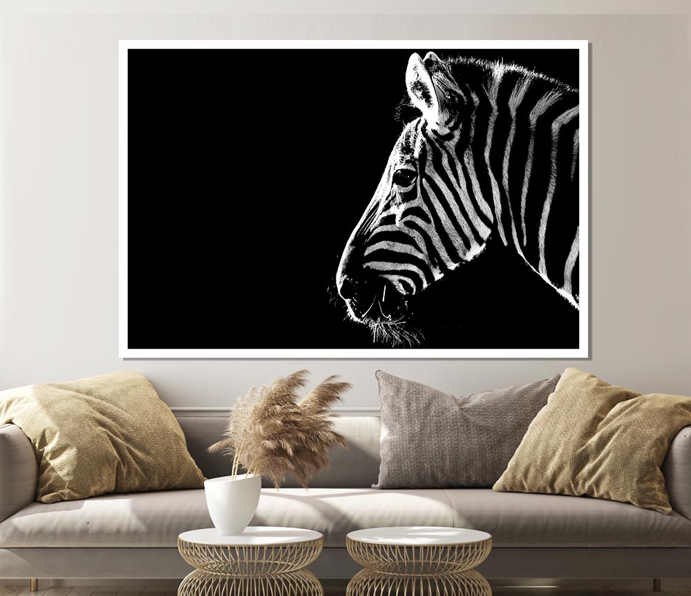 Zebra Whiskers Print Poster Wall Art