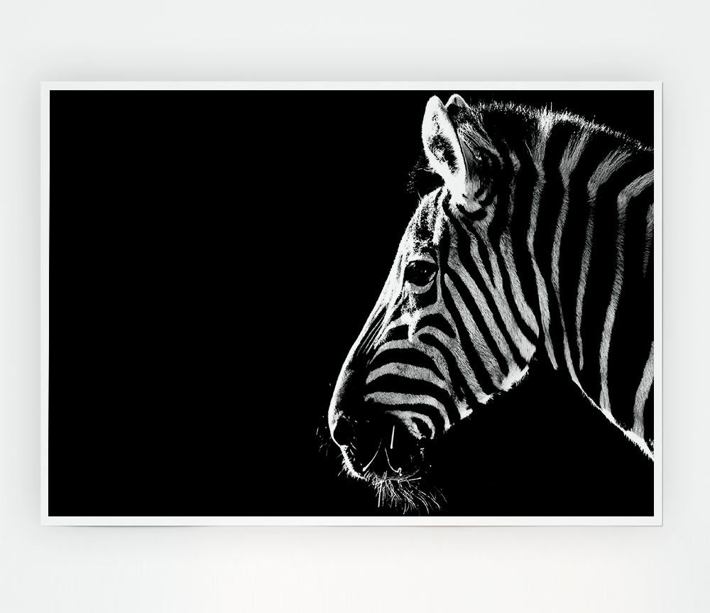 Zebra Whiskers Print Poster Wall Art