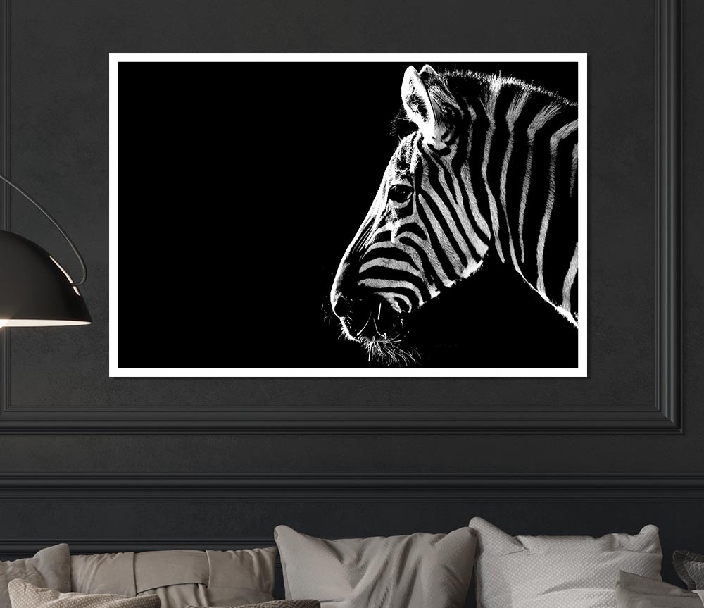 Zebra Whiskers Print Poster Wall Art