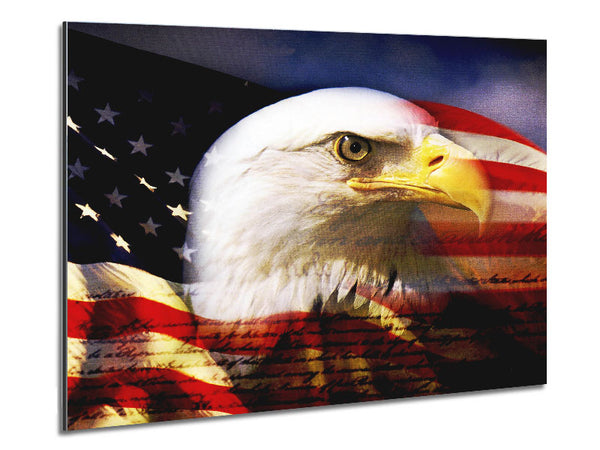 American Eagle Flag