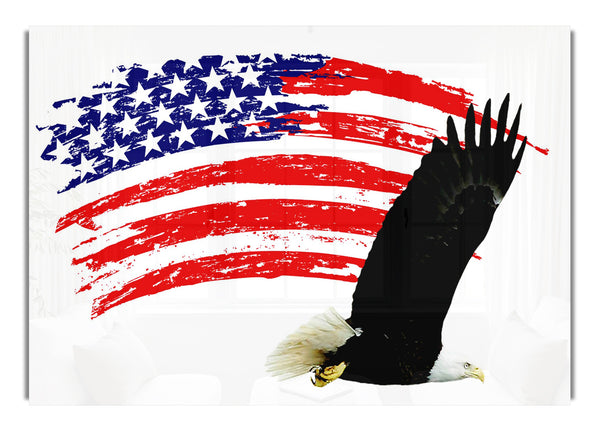 Eagle Freedom