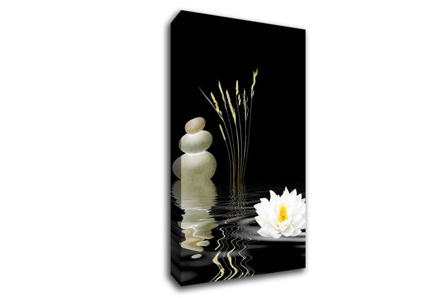 Picture of Waterlily Reflection Ripples Wide Canvas Wall Art