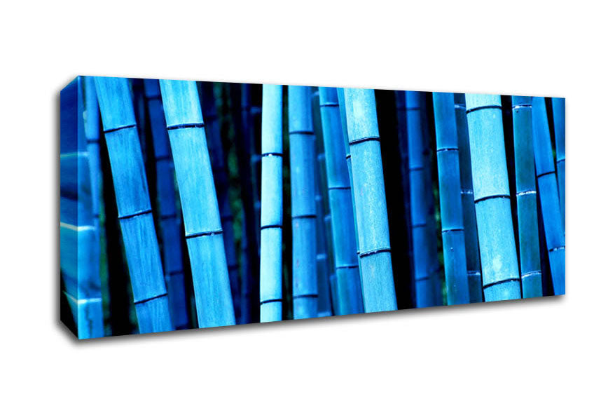 Picture of Bamboo Blues Panoramic Canvas Wall Art