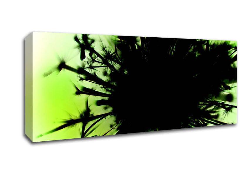 Picture of Black Sparkles Panoramic Canvas Wall Art