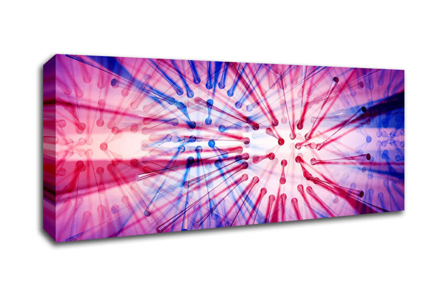 Picture of Blazing Star Panoramic Canvas Wall Art