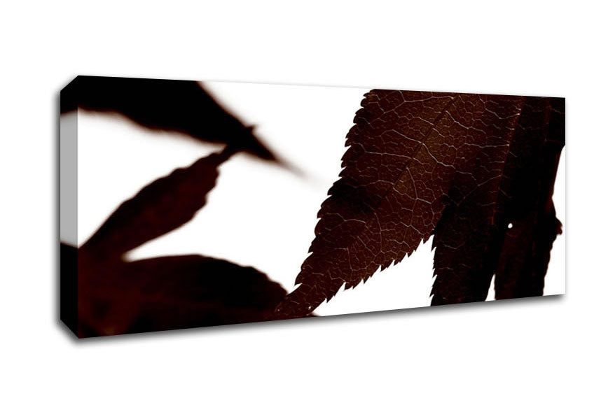 Picture of Brown Autumn Leaf Panoramic Canvas Wall Art