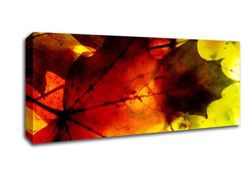 Picture of Bursting With Life Panoramic Canvas Wall Art