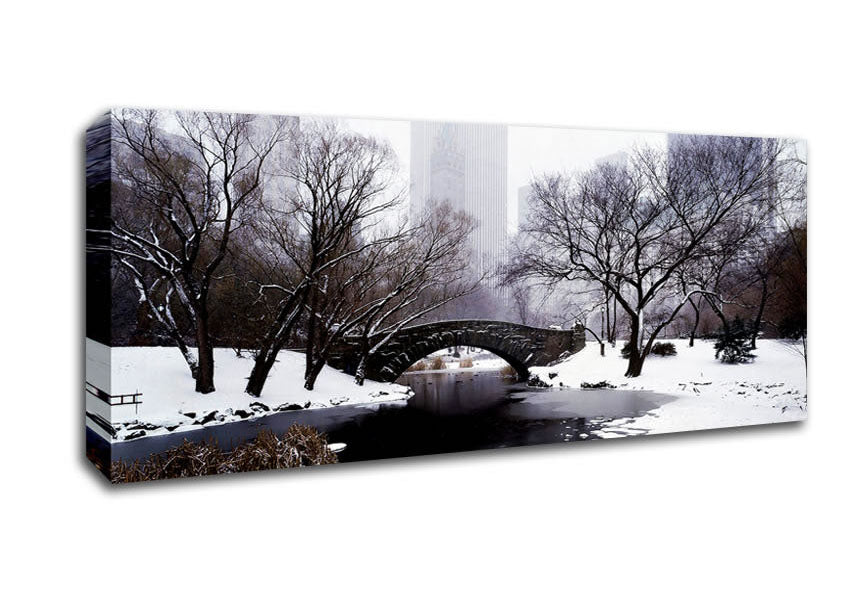 Picture of Central Park In Winter Panoramic Canvas Wall Art