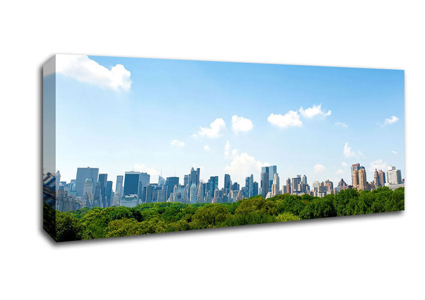 Picture of Central Park New York City Panoramic Canvas Wall Art