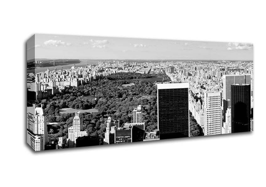 Picture of Central Park New York B n W Panoramic Canvas Wall Art