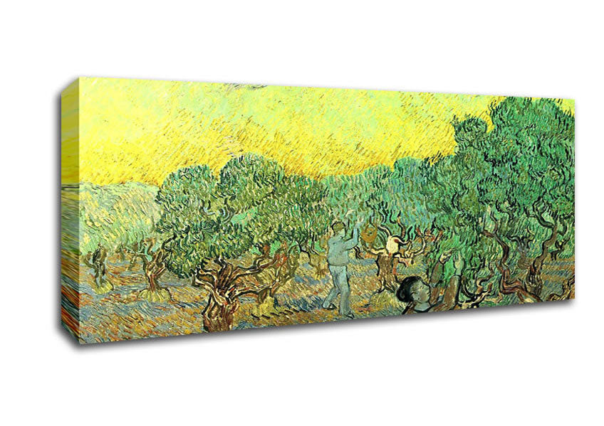 Picture of Van Gogh Olive Pickers In A Grove Panoramic Canvas Wall Art