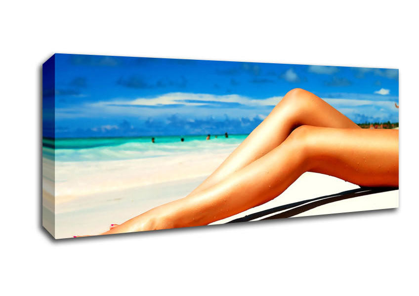 Picture of Beach Hottie Panoramic Canvas Wall Art