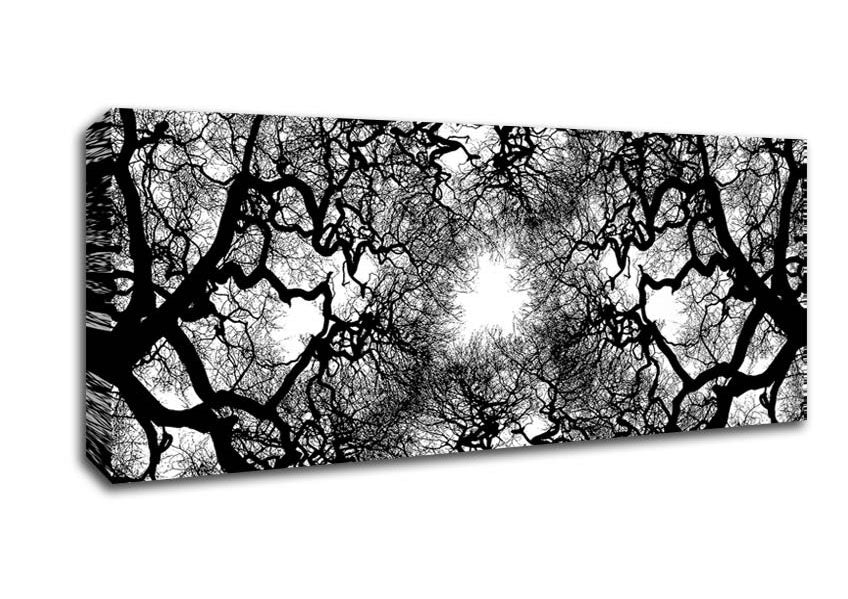 Picture of The Suns Shelter Panoramic Canvas Wall Art