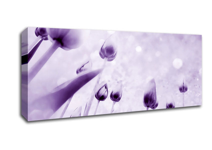 Picture of Attention Lilac Panoramic Canvas Wall Art