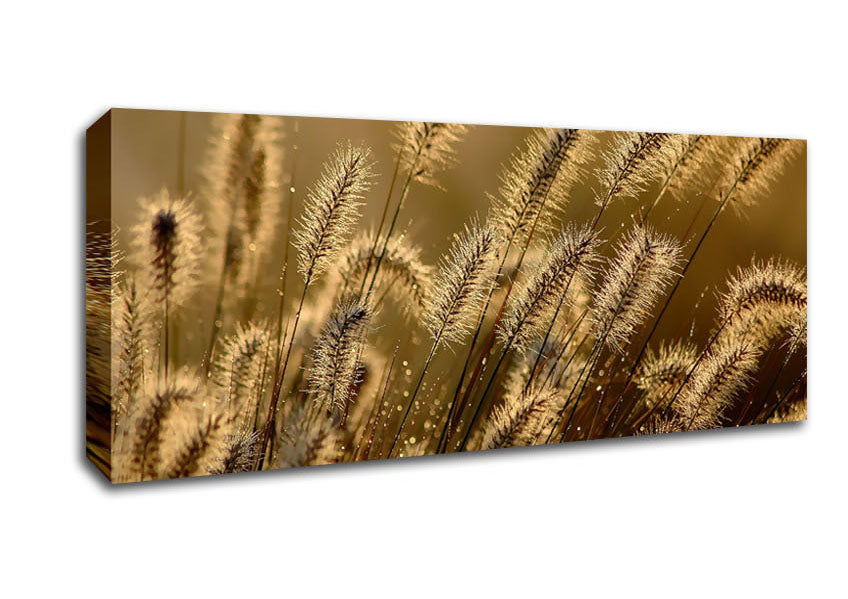 Picture of Bundle Of Ears Panoramic Canvas Wall Art