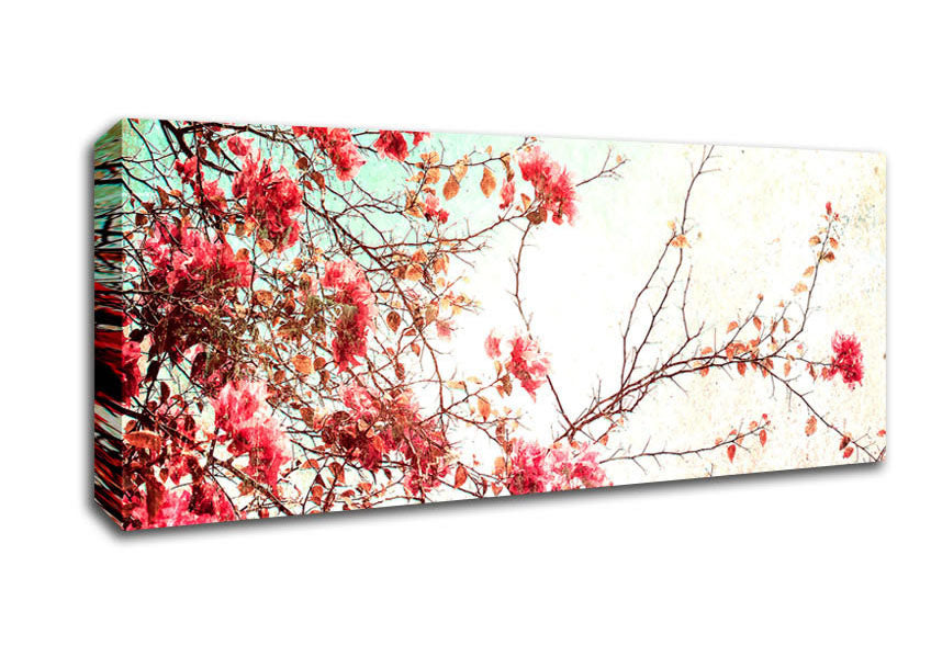 Picture of Antique Cherry Blossom Panoramic Canvas Wall Art